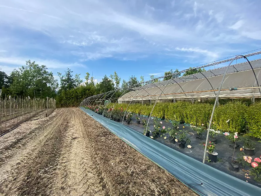 Immagine 13 di Magazzino in vendita  in Via Trevisago a Manerba Del Garda