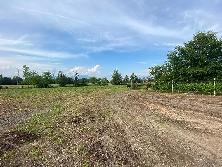 Immagine 16 di Magazzino in vendita  in Via Trevisago a Manerba Del Garda