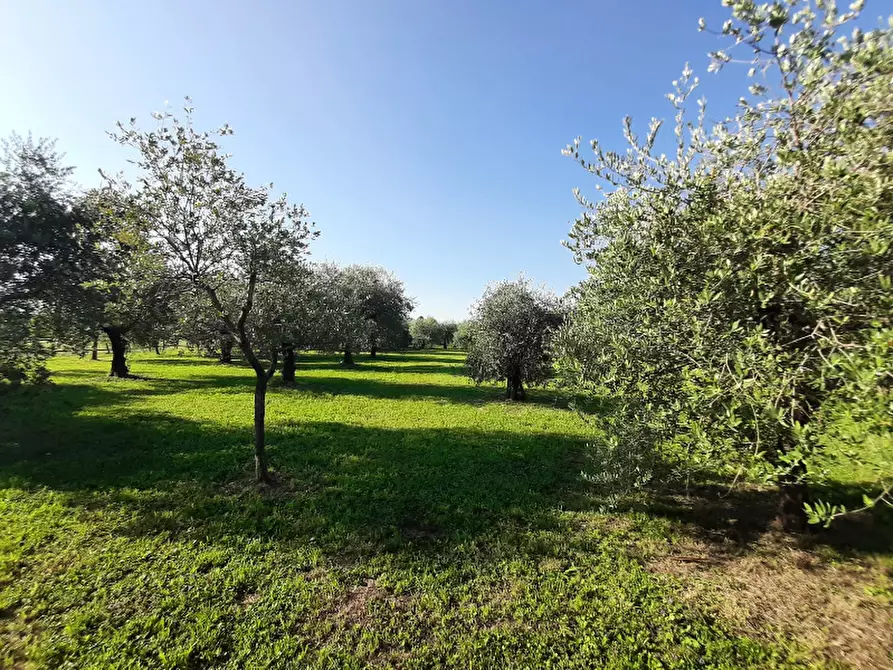 Immagine 8 di Terreno agricolo in vendita  in Via Roseti a San Felice Del Benaco