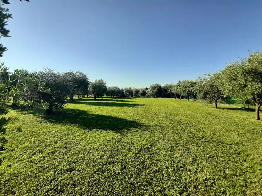Immagine 3 di Terreno agricolo in vendita  in Via Roseti a San Felice Del Benaco