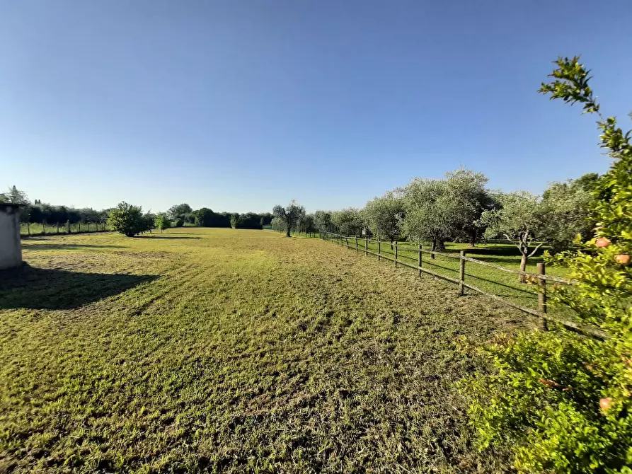 Immagine 18 di Terreno agricolo in vendita  in Via Roseti a San Felice Del Benaco