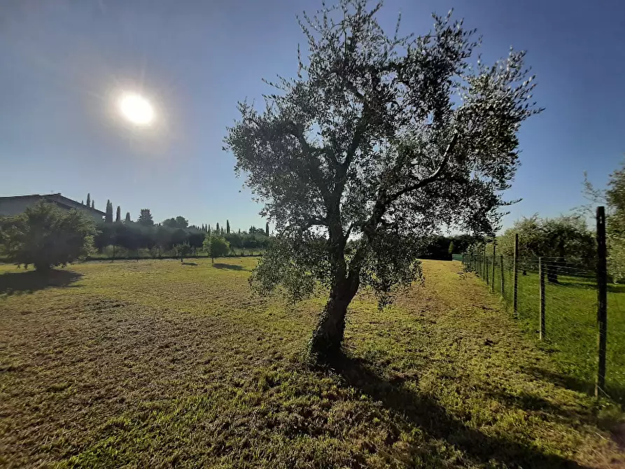 Immagine 5 di Terreno agricolo in vendita  in Via Roseti a San Felice Del Benaco