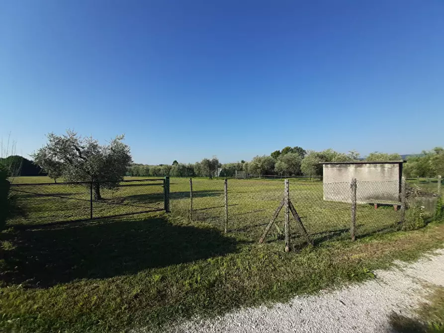 Immagine 15 di Terreno agricolo in vendita  in Via Roseti a San Felice Del Benaco