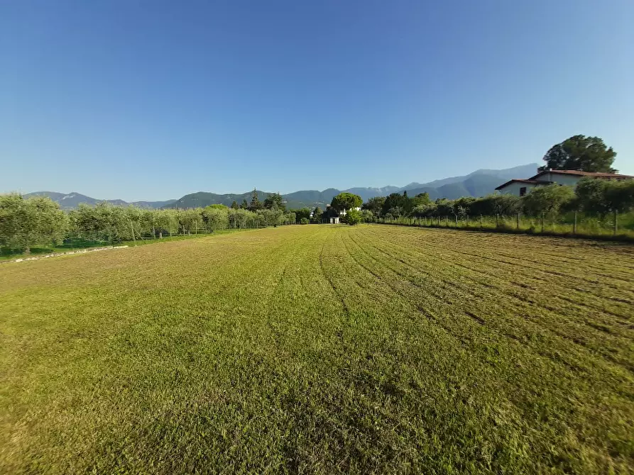 Immagine 10 di Terreno agricolo in vendita  in Via Roseti a San Felice Del Benaco