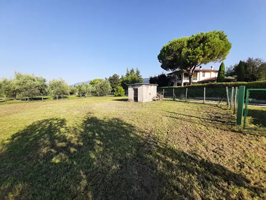 Immagine 1 di Terreno agricolo in vendita  in Via Roseti a San Felice Del Benaco