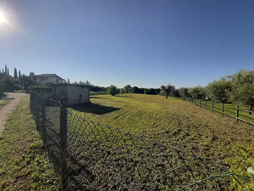 Immagine 20 di Terreno agricolo in vendita  in Via Roseti a San Felice Del Benaco