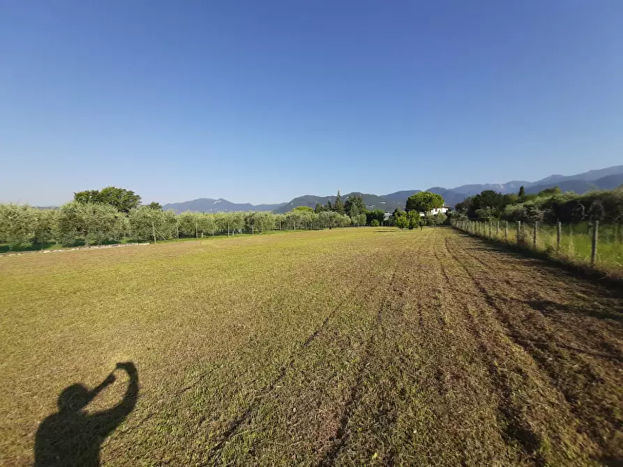 Immagine 7 di Terreno agricolo in vendita  in Via Roseti a San Felice Del Benaco