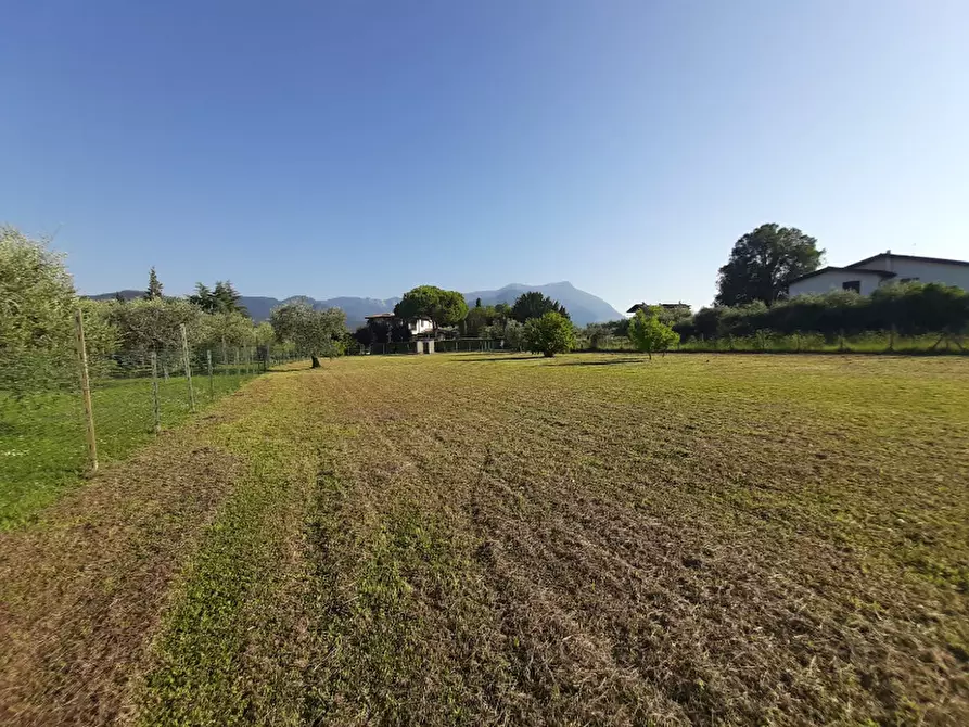 Immagine 4 di Terreno agricolo in vendita  in Via Roseti a San Felice Del Benaco