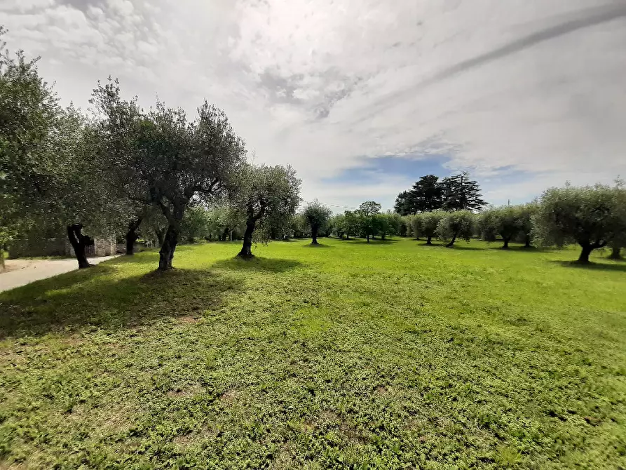 Immagine 18 di Terreno agricolo in vendita  in Via Benaco a San Felice Del Benaco