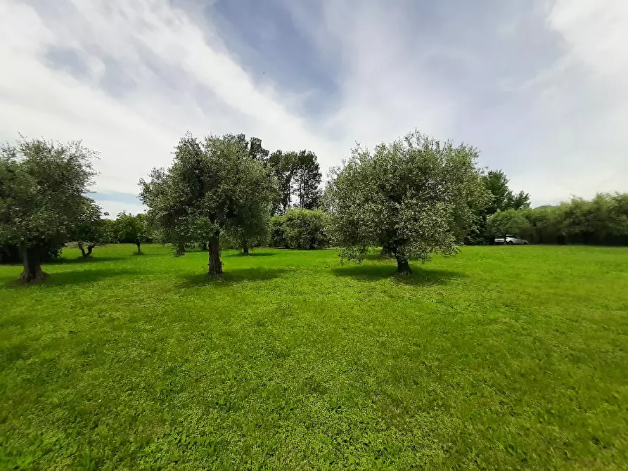 Immagine 4 di Terreno agricolo in vendita  in Via Benaco a San Felice Del Benaco