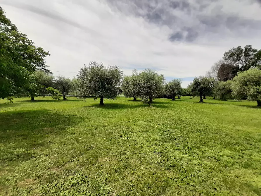 Immagine 8 di Terreno agricolo in vendita  in Via Benaco a San Felice Del Benaco