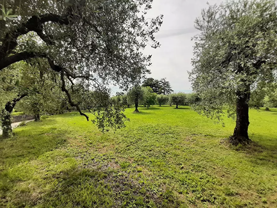 Immagine 17 di Terreno agricolo in vendita  in Via Benaco a San Felice Del Benaco