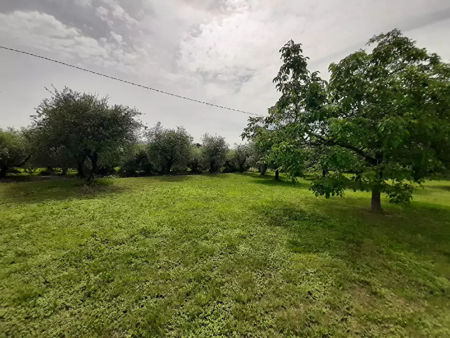 Immagine 6 di Terreno agricolo in vendita  in Via Benaco a San Felice Del Benaco
