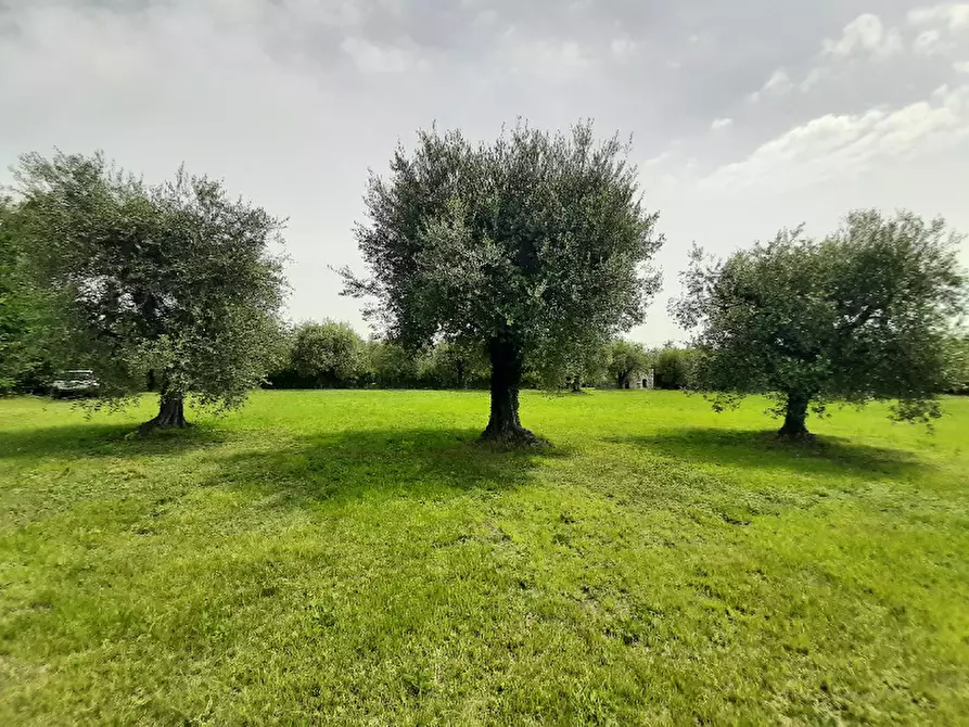 Immagine 1 di Terreno agricolo in vendita  in Via Benaco a San Felice Del Benaco