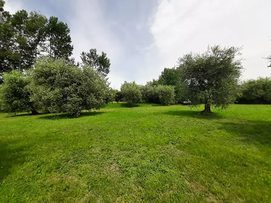 Immagine 3 di Terreno agricolo in vendita  in Via Benaco a San Felice Del Benaco