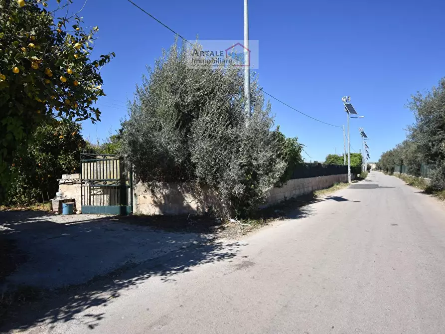 Immagine 1 di Terreno agricolo in vendita  in VIALE CONTRADA PETRARA a Avola