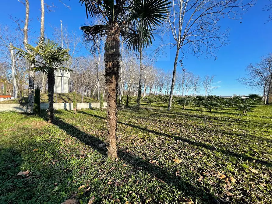 Immagine 1 di Terreno agricolo in vendita  in carpellina 0 a Rosa'