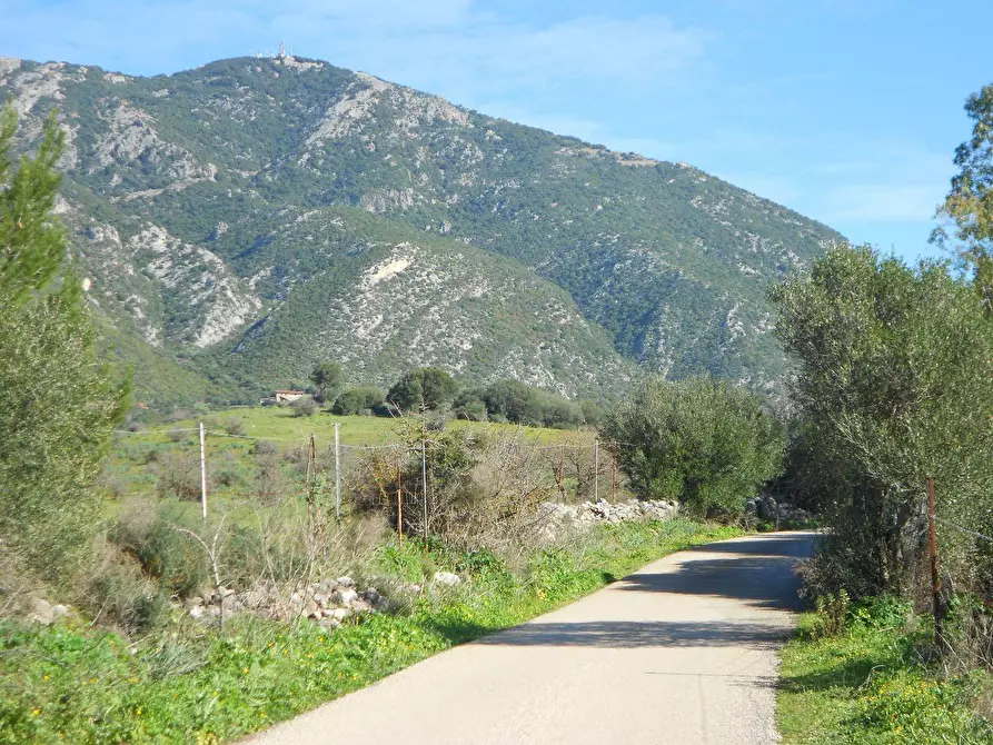 Terreno agricolo in vendita in Funtana Marzu 0 a Iglesias