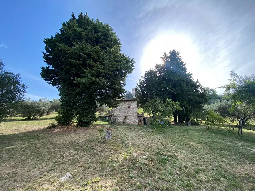 Immagine 1 di Rustico / casale in vendita  in Via DELL' ANFITEATRO ROMANO, 1 a Assisi