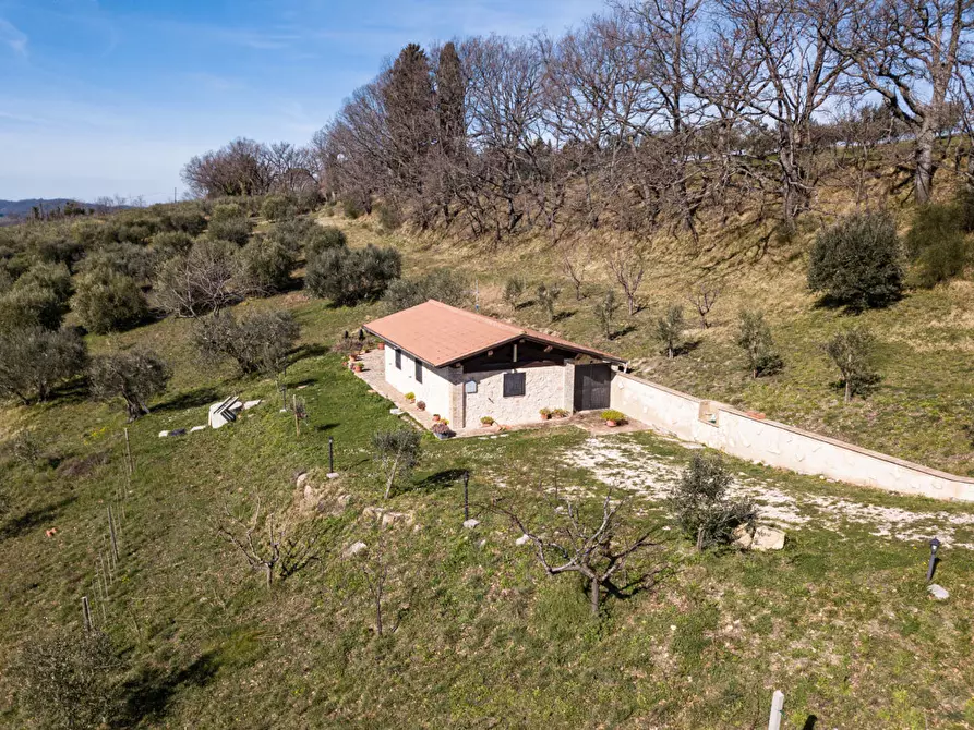 Immagine 1 di Terreno agricolo in vendita  in Via DON GIULIO BARBANI, 1 a Assisi
