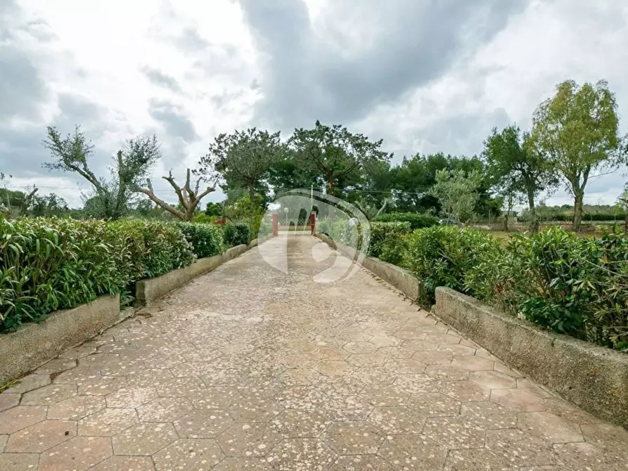 Immagine 50 di Casa indipendente in vendita  in Via S.P. 90 Galatone - Santa Maria al Bagno, 0 a Galatone