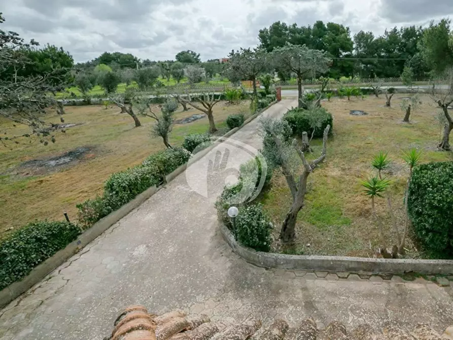 Immagine 46 di Casa indipendente in vendita  in Via S.P. 90 Galatone - Santa Maria al Bagno, 0 a Galatone