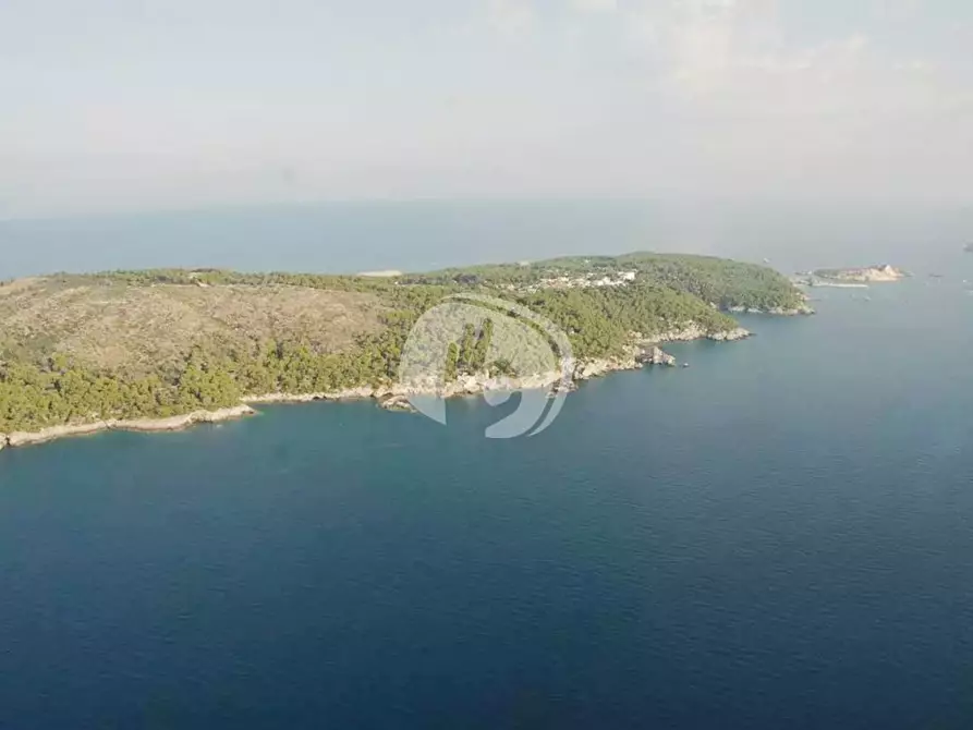 Immagine 28 di Appartamento in vendita  in LocalitÃ  San Domino, s.n. a Isole Tremiti