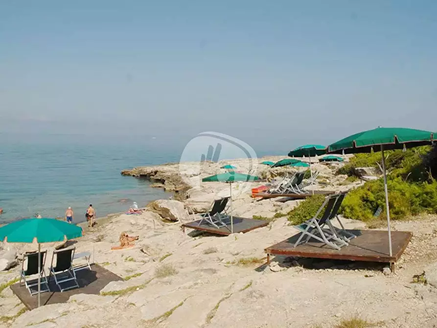 Immagine 21 di Appartamento in vendita  in LocalitÃ  San Domino, s.n. a Isole Tremiti