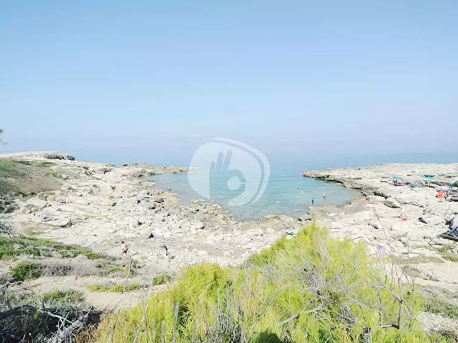 Immagine 20 di Appartamento in vendita  in LocalitÃ  San Domino, s.n. a Isole Tremiti