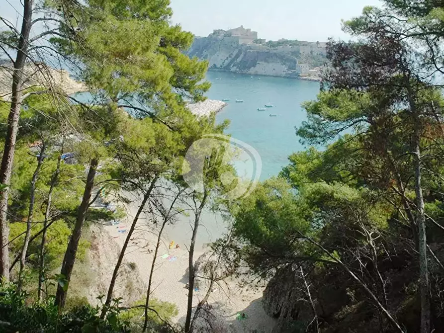Immagine 24 di Appartamento in vendita  in LocalitÃ  San Domino, s.n. a Isole Tremiti
