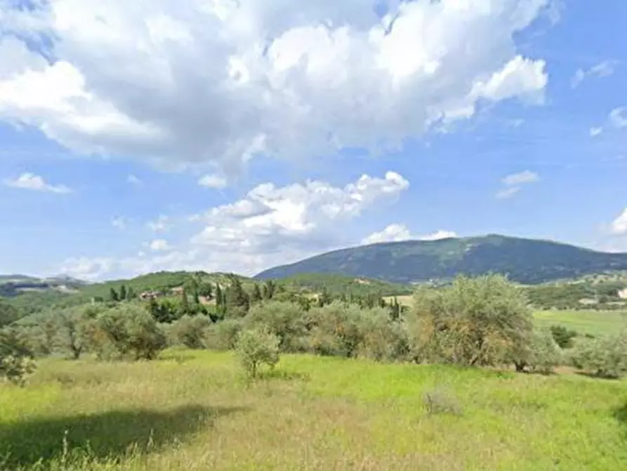 Immagine 1 di Terreno agricolo in vendita  in Strada di monte mischiante a Corciano