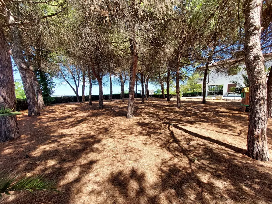 Immagine 17 di Casa trifamiliare in vendita  in Contrada San Martino, 0 a Colonnella