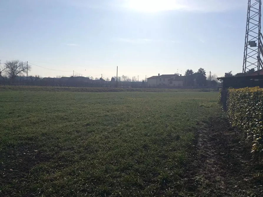 Immagine 5 di Terreno residenziale in vendita  in Via VILLAGGIO BUSONERA Via Dei Martiri, 59 a Cavarzere