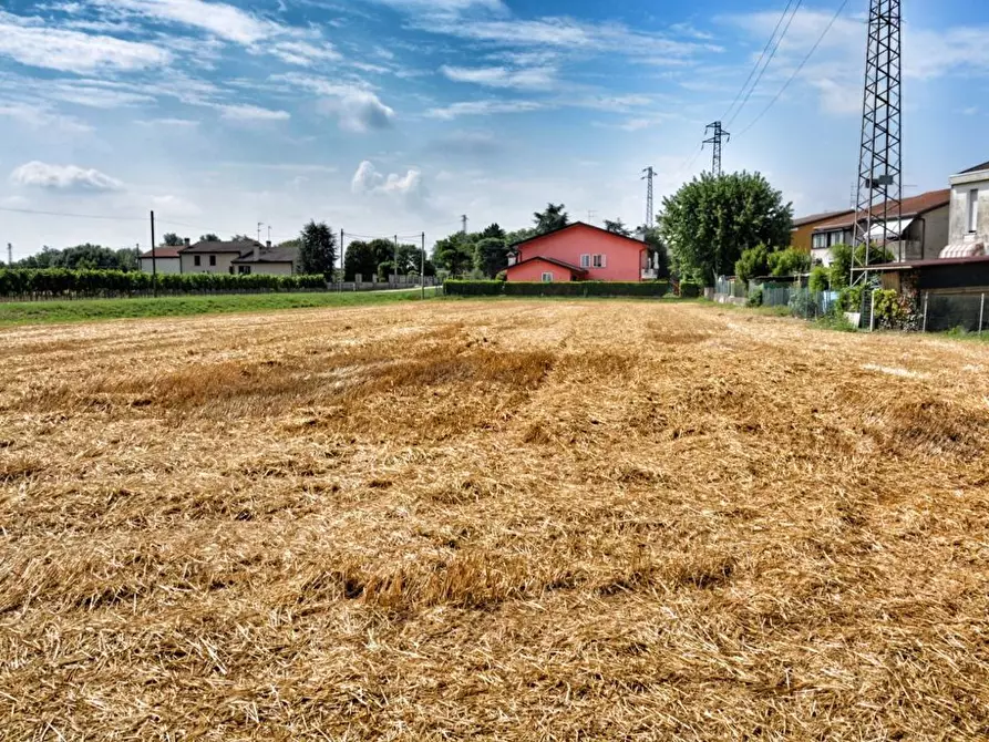 Immagine 3 di Terreno residenziale in vendita  in Via VILLAGGIO BUSONERA Via Dei Martiri, 59 a Cavarzere