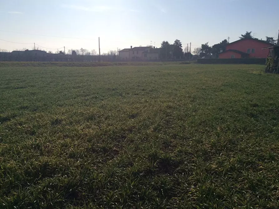 Immagine 6 di Terreno residenziale in vendita  in Via VILLAGGIO BUSONERA Via Dei Martiri, 59 a Cavarzere