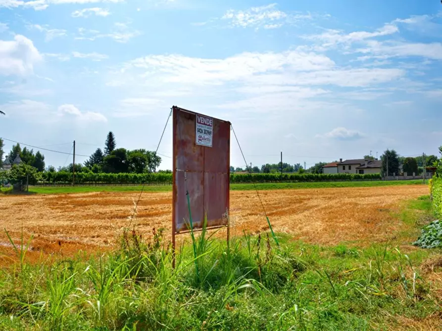 Immagine 2 di Terreno residenziale in vendita  in Via VILLAGGIO BUSONERA Via Dei Martiri, 59 a Cavarzere
