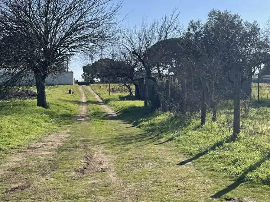 Immagine 5 di Terreno agricolo in vendita  in Via SAN FELICE CIRCEO, 1 a Terracina