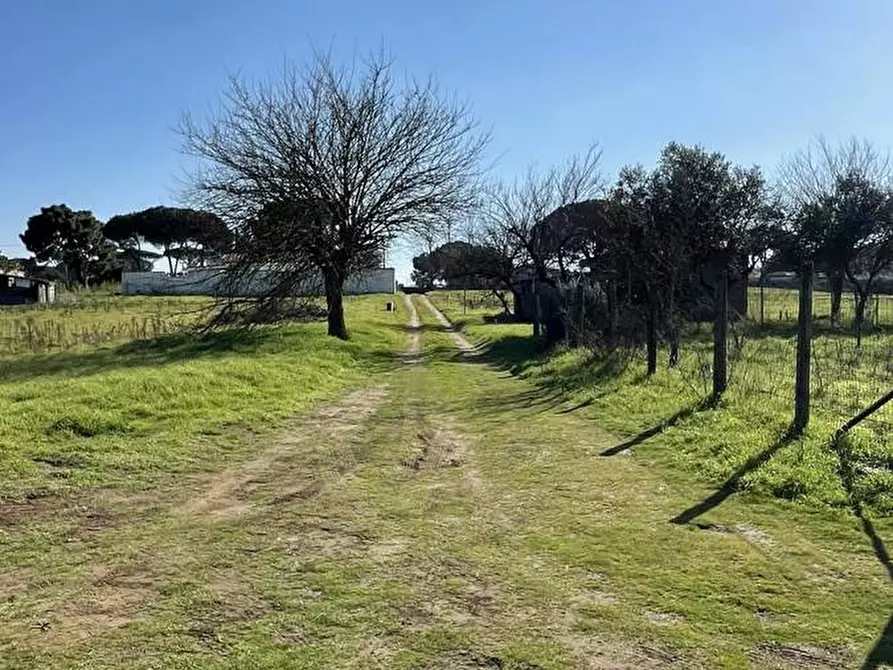 Immagine 9 di Terreno agricolo in vendita  in Via SAN FELICE CIRCEO, 1 a Terracina