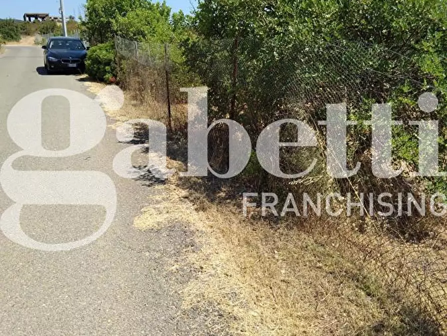 Immagine 2 di Terreno agricolo in vendita  in Via Dante Alighieri, 44 a Domus De Maria