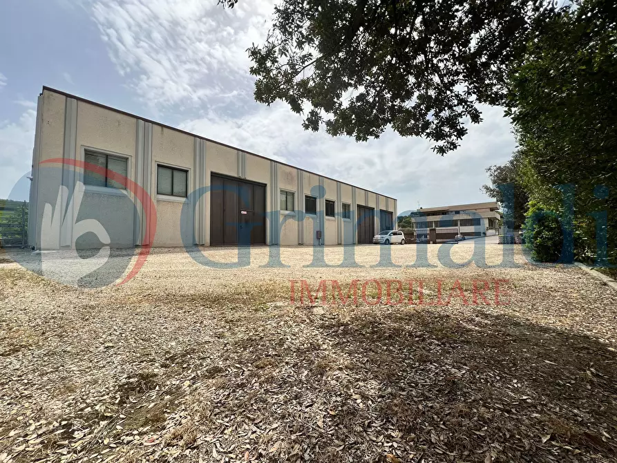 Immagine 1 di Capannone industriale in vendita  in Via dei Mulini a Magione