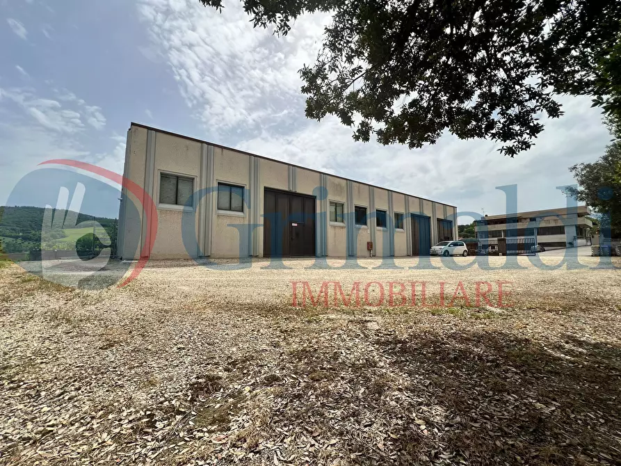 Immagine 2 di Capannone industriale in vendita  in Via dei Mulini a Magione