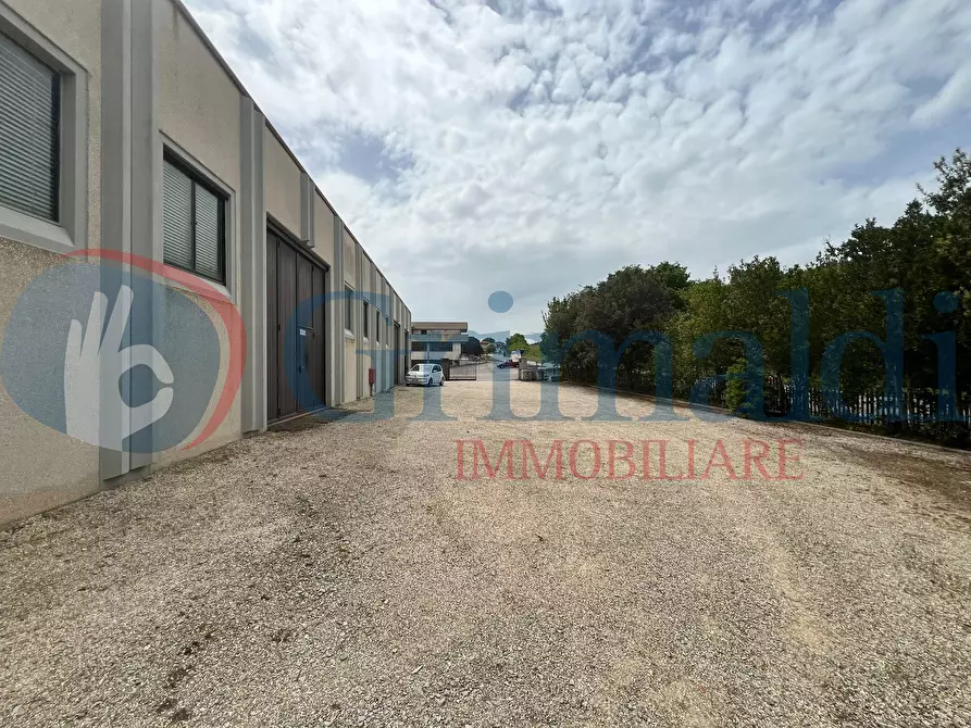 Immagine 4 di Capannone industriale in vendita  in Via dei Mulini a Magione