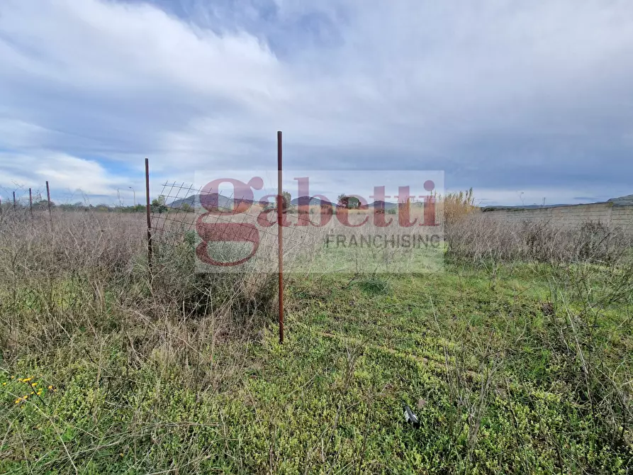 Immagine 1 di Terreno agricolo in vendita  in LocalitÃ  Santu Giorgi, snc a Monastir