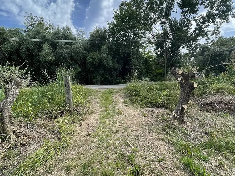 Immagine 36 di Rustico / casale in vendita  in Via SUGARELLE, 5 a Fondi