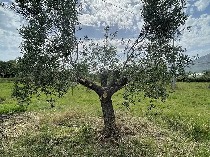 Immagine 30 di Rustico / casale in vendita  in Via SUGARELLE, 5 a Fondi