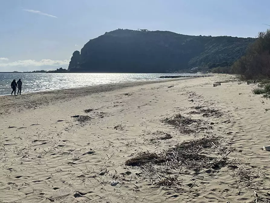 Immagine 1 di Terreno agricolo in vendita  in Via FLACCA, 1 a Terracina