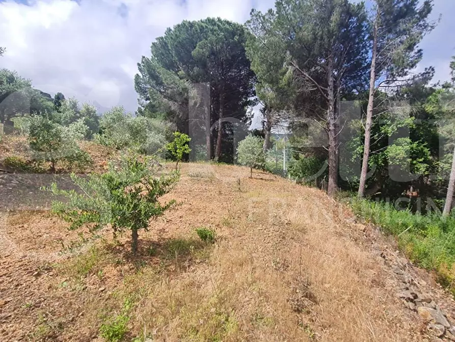 Immagine 5 di Villa in vendita  in Contrada Allegracuore a Cefalù
