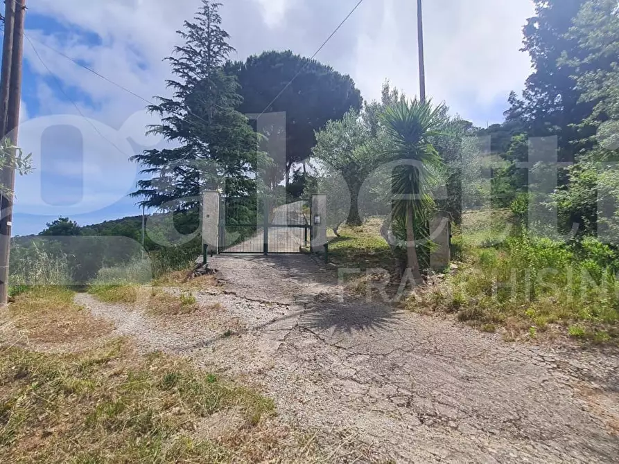 Immagine 2 di Villa in vendita  in Contrada Allegracuore a Cefalù