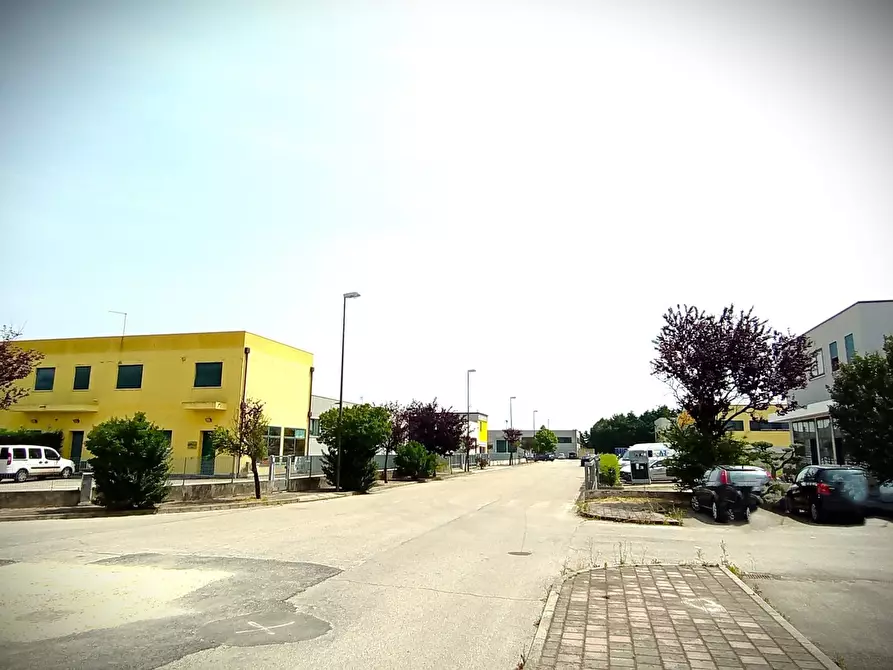 Immagine 11 di Capannone industriale in vendita  in Via CAVARZERE   Via dei Martiri, 59 a Cavarzere
