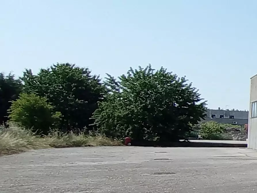Immagine 10 di Capannone industriale in vendita  in Via CAVARZERE   Via dei Martiri, 59 a Cavarzere